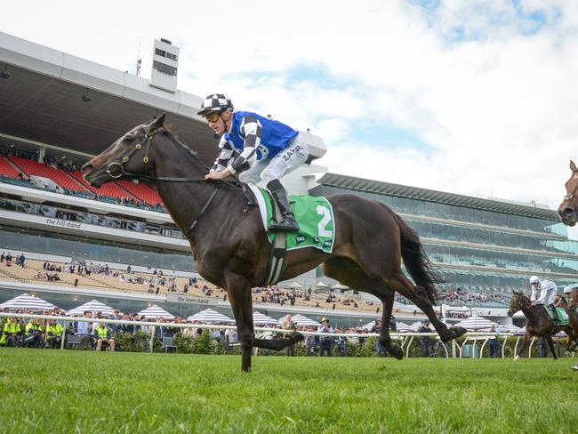 Gold Trip (FR) ridden by Mark Zahra wins the TAB Turnbull Stakes at Flemington Racecourse on October 07, 2023 in Flemington, Australia. (Photo by Reg Ryan/Racing Photos via Getty Images)