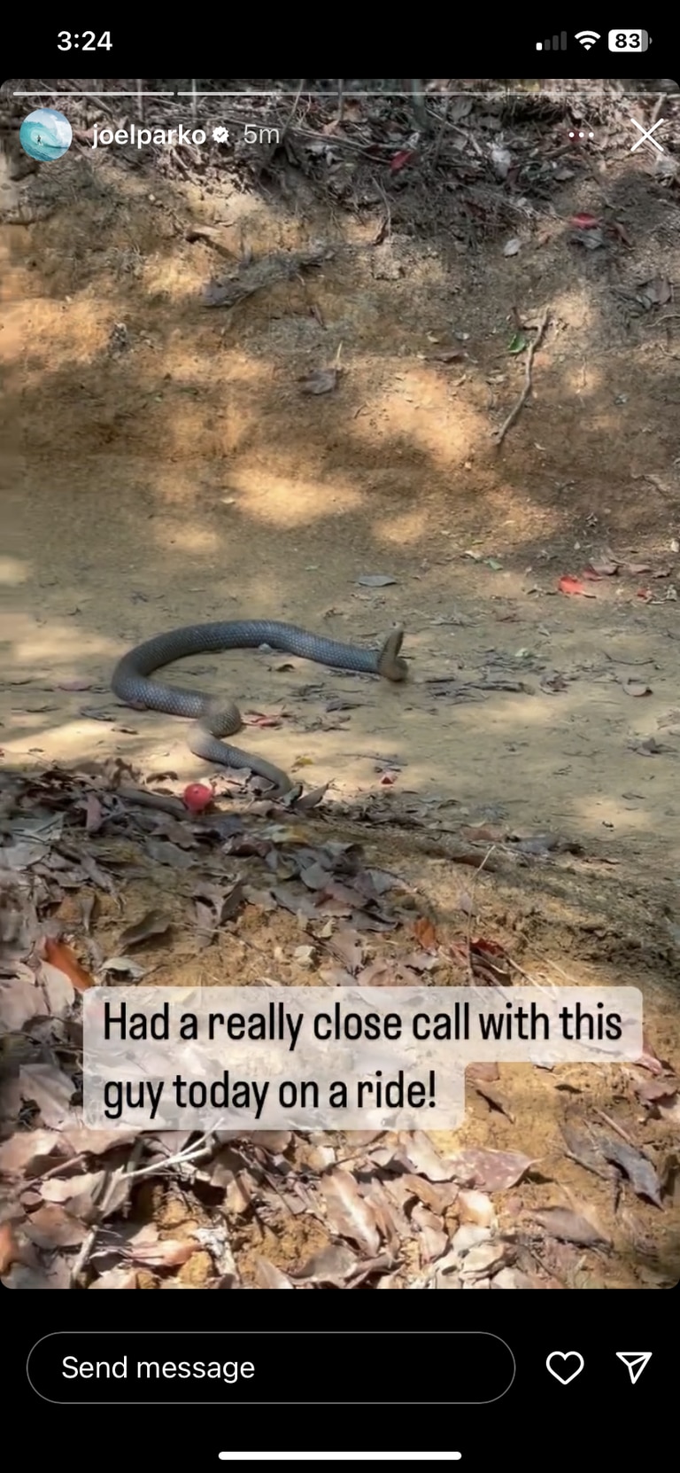 Surfing legend Joel Parkinson and Api Robin had a close encounter with a monster brown snake during a mountain bike ride on the Gold Coast. Picture: Supplied