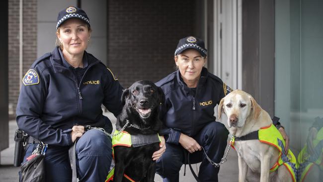 Constable Kirkby and Constable Lovell with drug detection dogs Bernie and Aggie after drugs were seized at the Hobart Airport. Picture: Chris Kidd