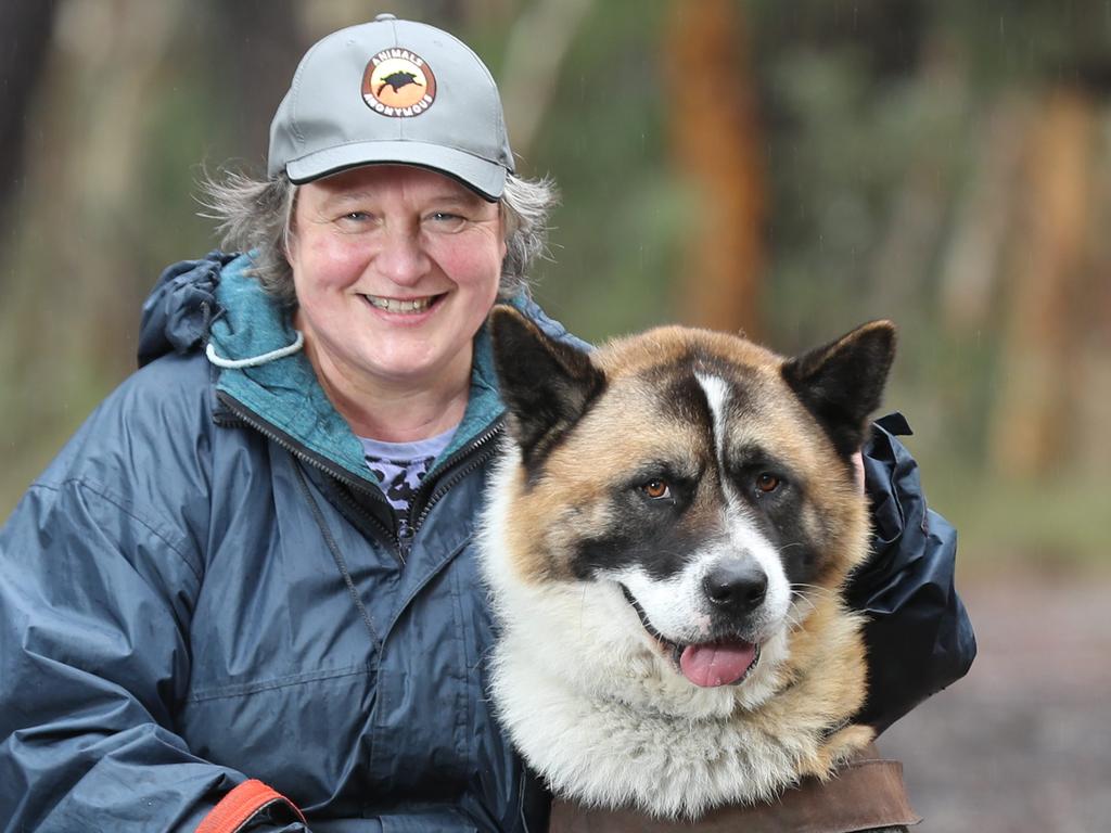 1.5.2020.Sherlz Crawford with her dog ginger bear who she recently adopted from the RSPCA. Sherlz with ginger bear at Rocky Creek Hut,Meadows. PIC TAIT SCHMAAL.