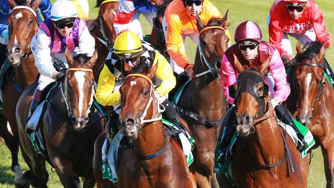 Horse racing tips: Wyong; Sandown; Strathalbyn | Herald Sun