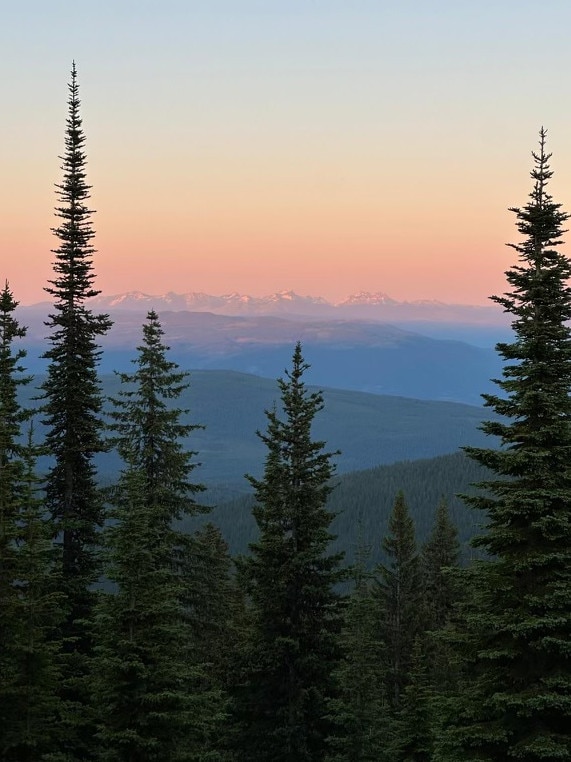 The view on my walk in British Columbia, Canada.