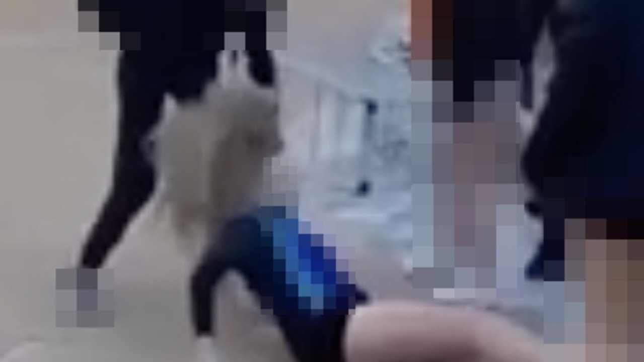 A social media video showing a girl being kicked, punched and dragged – while others watched and filmed, outside the Elizabeth Shopping Centre during Thursday night trading. Picture: Instagram