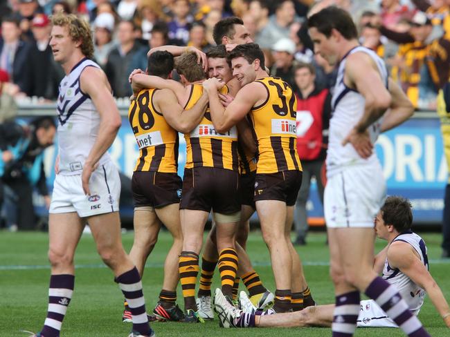 Defeat to Hawthorn in 2013 is Fremantle’s only grand final appearance to date. (AAP Image/David Crosling)