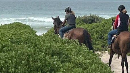 Racehorse trainer Stephen Lee sends his horses to the beach from his new property in South Ballina. Picture: Supplied