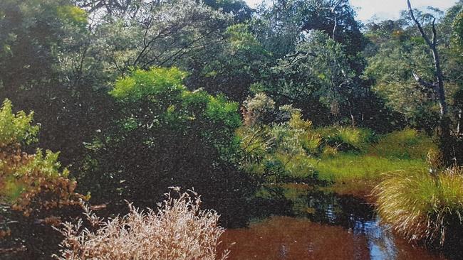 Chris Judd Arthurs Seat property before his company illegally cleared 3000sq m due to Judd's fears about snakes and bushfires