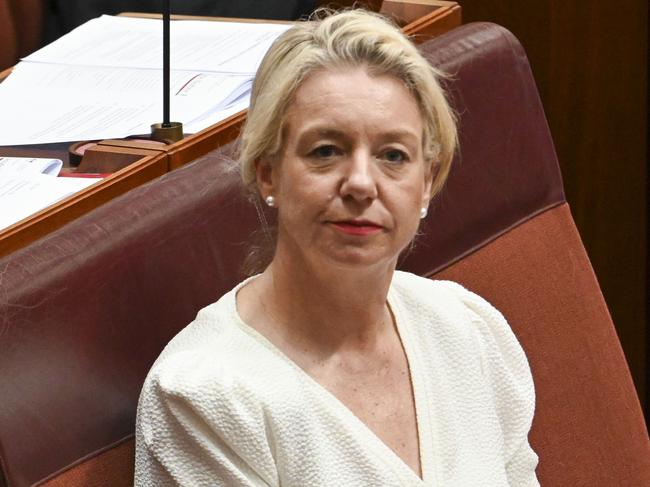 Federal Coalition frontbencher Bridget McKenzie will also attend the event in London. Picture: Martin Ollman