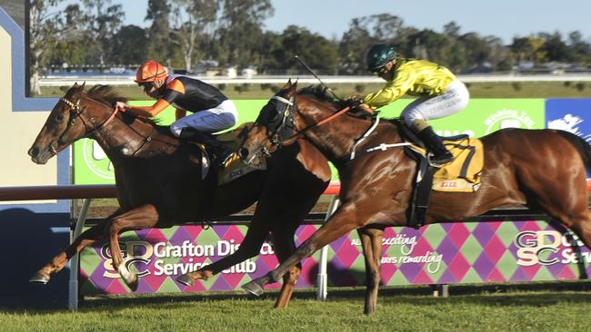 Jazzland (left) has been good placings second at his past two starts at Gosford and Warwick Farm.
