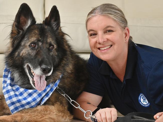 22/11/24. Brevet Sergeant Tina Hunt from the Dog Operations Group and her retired dog Marley. Tina has been in the dog Op unit since 2006 and she is now the Founder/ CEO launching a charity, "Retired Police Dogs SA", to provide financial support to retired police dogs, specifically covering their medical expenses. Picture: Keryn Stevens