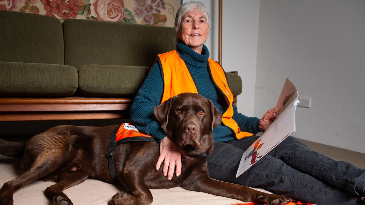 How Mungo the dog is helping kids learn to read free of charge