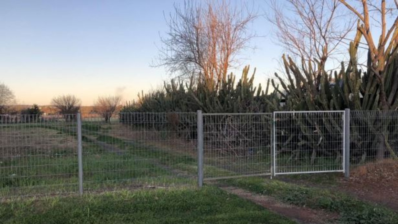 Plans to transform popular, old vineyard into 105 housing lots