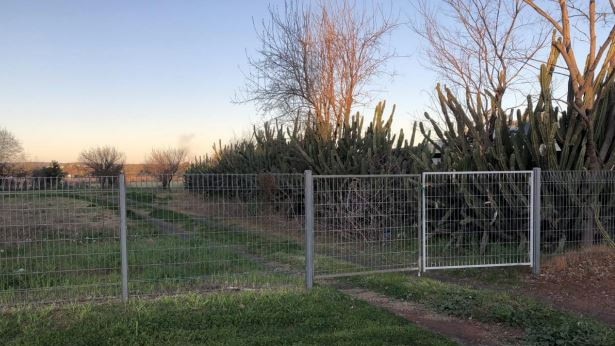 The view of the approved land for the residential houses from Bunglegumbie Rd. Picture: Dubbo Regional Council