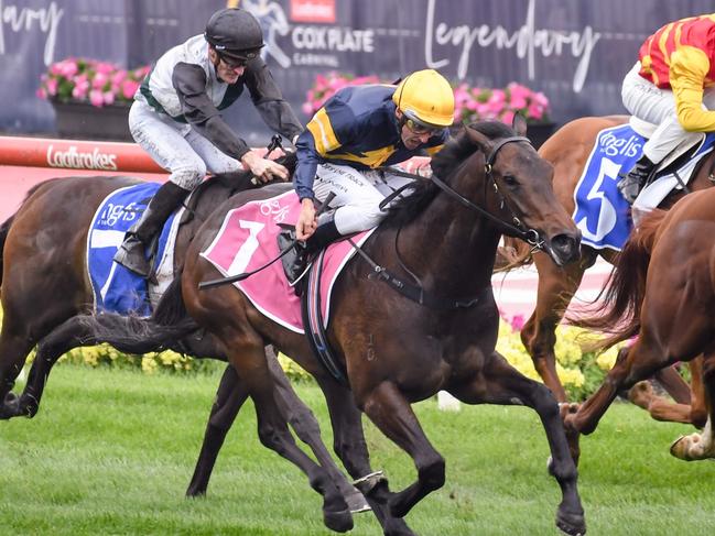 Arkansaw Kid ridden by Damien Oliver wins the Inglis Banner at Moonee Valley Racecourse on October 22, 2022 in Moonee Ponds, Australia. (Photo by George Sal/Racing Photos via Getty Images)