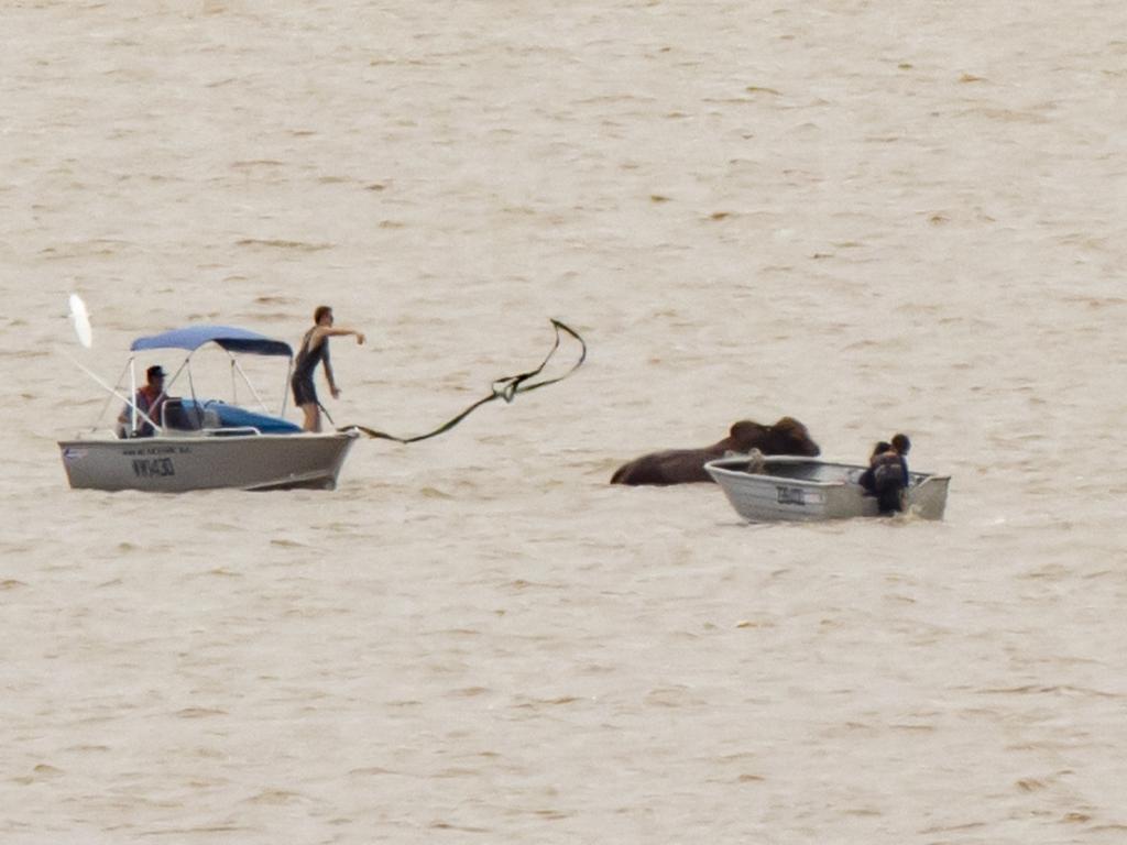 Rescuers try to help. Picture: Lachie Millard