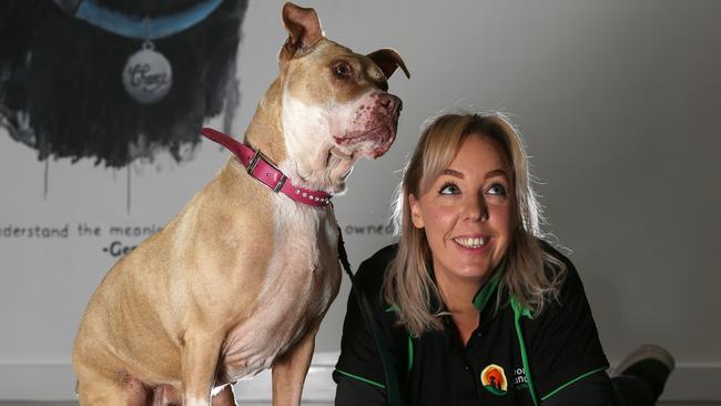 Second Chance Animal Rescue in Craigieburn might never hit their six-month anniversary. Picture: George Salpigtidis