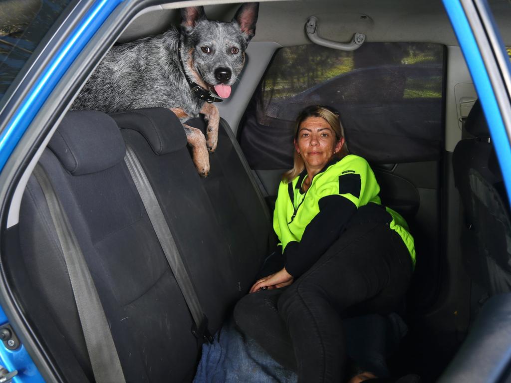 Jessica Pomerenke is sleeping in her car with her three dogs Koda (pictured), Summer and Boffa after struggling for months to find a rental in the Greater Brisbane area. Picture: David Clark