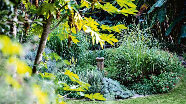 The feel of the garden is part Mediterranean, part whimsy and part plant collector’s trove. Picture: Jason Busch