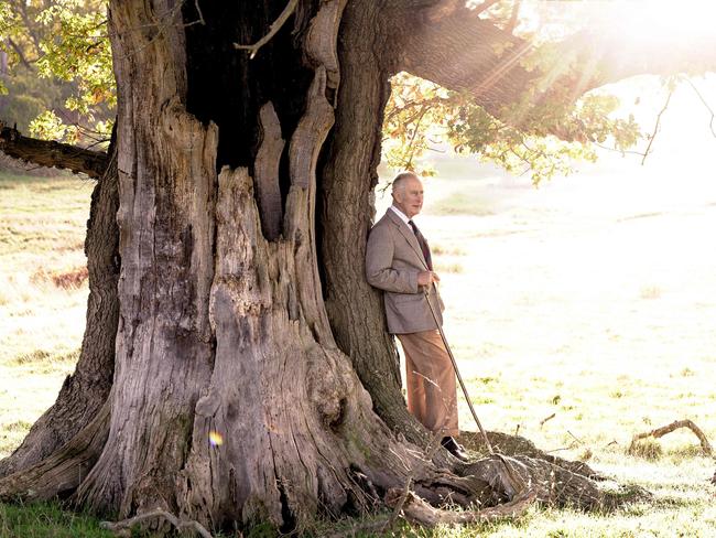 Handout image issued by Buckingham Palace of King Charles III posing for a photograph with an ancient oak tree in Windsor Great Park to mark his appointment as Ranger of the Park. Picture: AFP