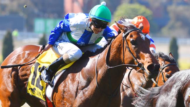 Payne riding Sweet Rockette to victory at the Valley. Picture: Getty Images