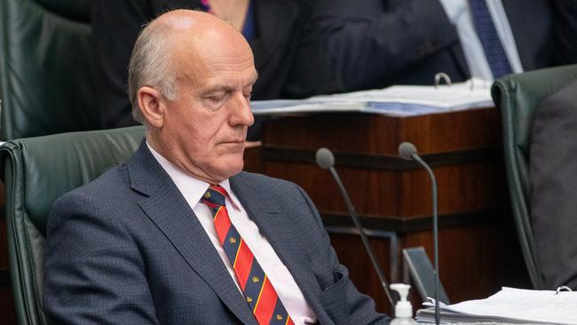 Minister Eric Abetz in parliament on Tuesday 19th November 2024. Picture: Linda Higginson