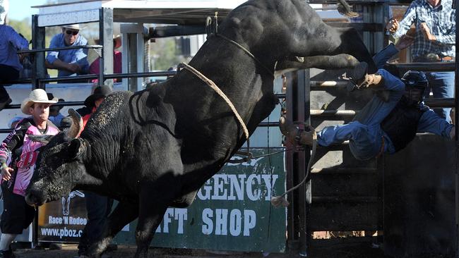 bull riding bouncer