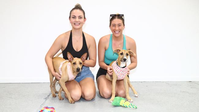 Foster carers Kealy Baker and Olivia McDonald play with seven-month old pup Misha and four-month-old pup Melorie who are available for adoption via Remote Animal Assistance. Photo: Catherine Duffy.