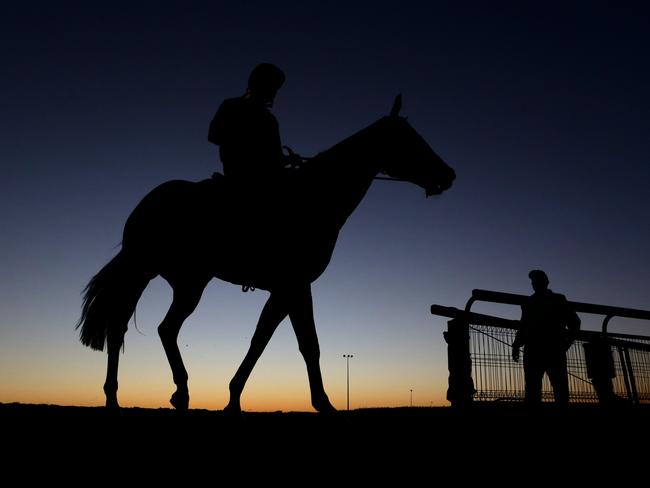 Sacred Star at Doomben trackwork last winter. Picture: Darren England