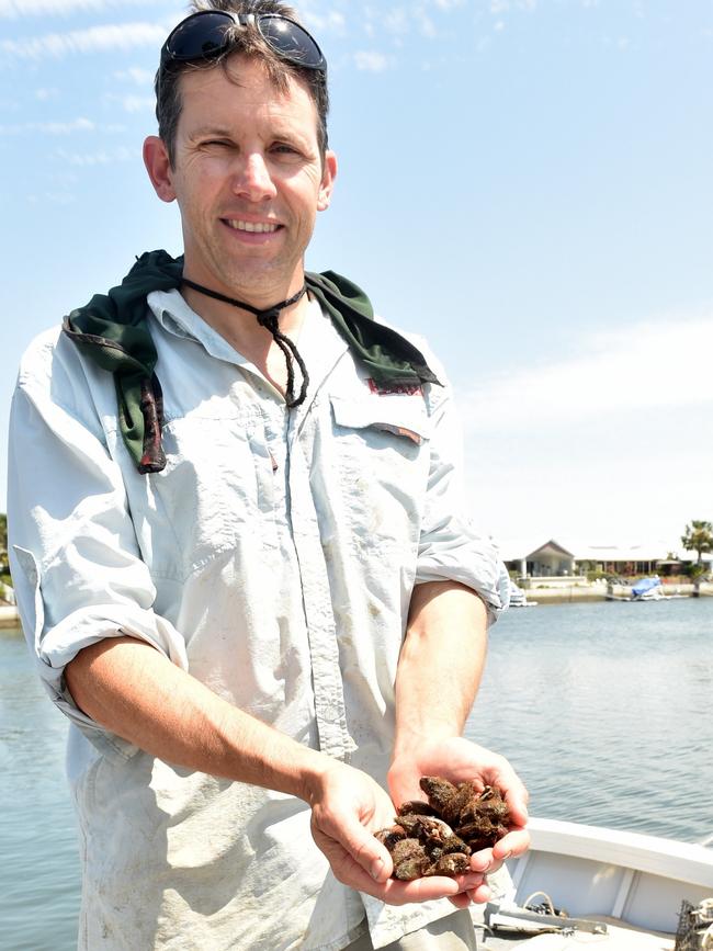 Bribie Island marine biologist Ben Diggles. Picture supplied.