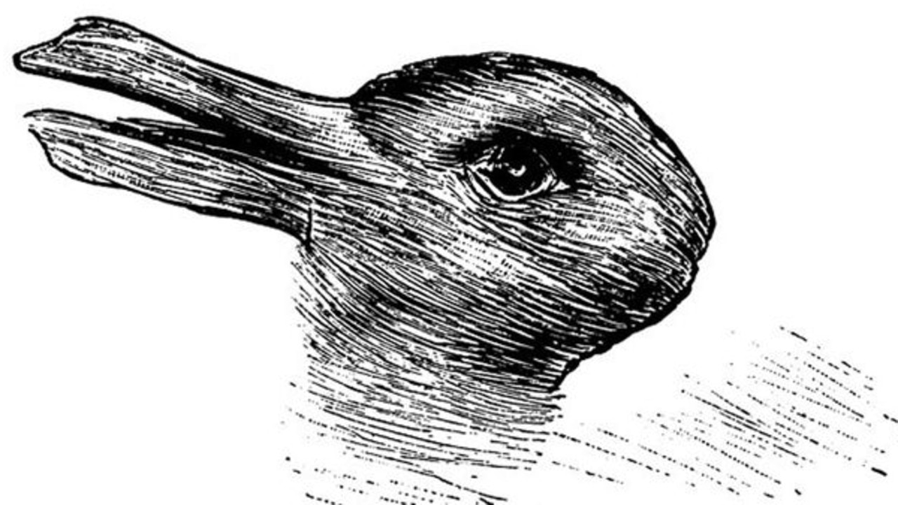 Is this a rabbit or a duck? This first appeared in a German magazine in 1892 under the title "Kaninchen und Ente", which in English is Rabbit and Duck. Research has shown that more people see it as a rabbit around Easter time!