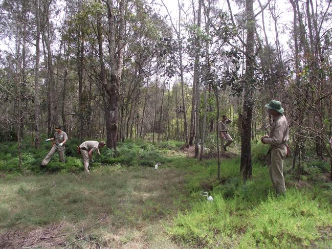 Schuster Park Restoration project team members help to keep the weeds down in the natural bushland.