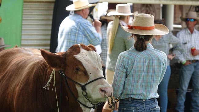 Dorrigo Show, November 24, 2023. Picture: Chris Knight