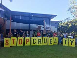 About 40 animal rights activists protesting against greyhound racing at Lismore City Council's extraordinary meeting on Tuesday, January 9. Picture: Claudia Jambor