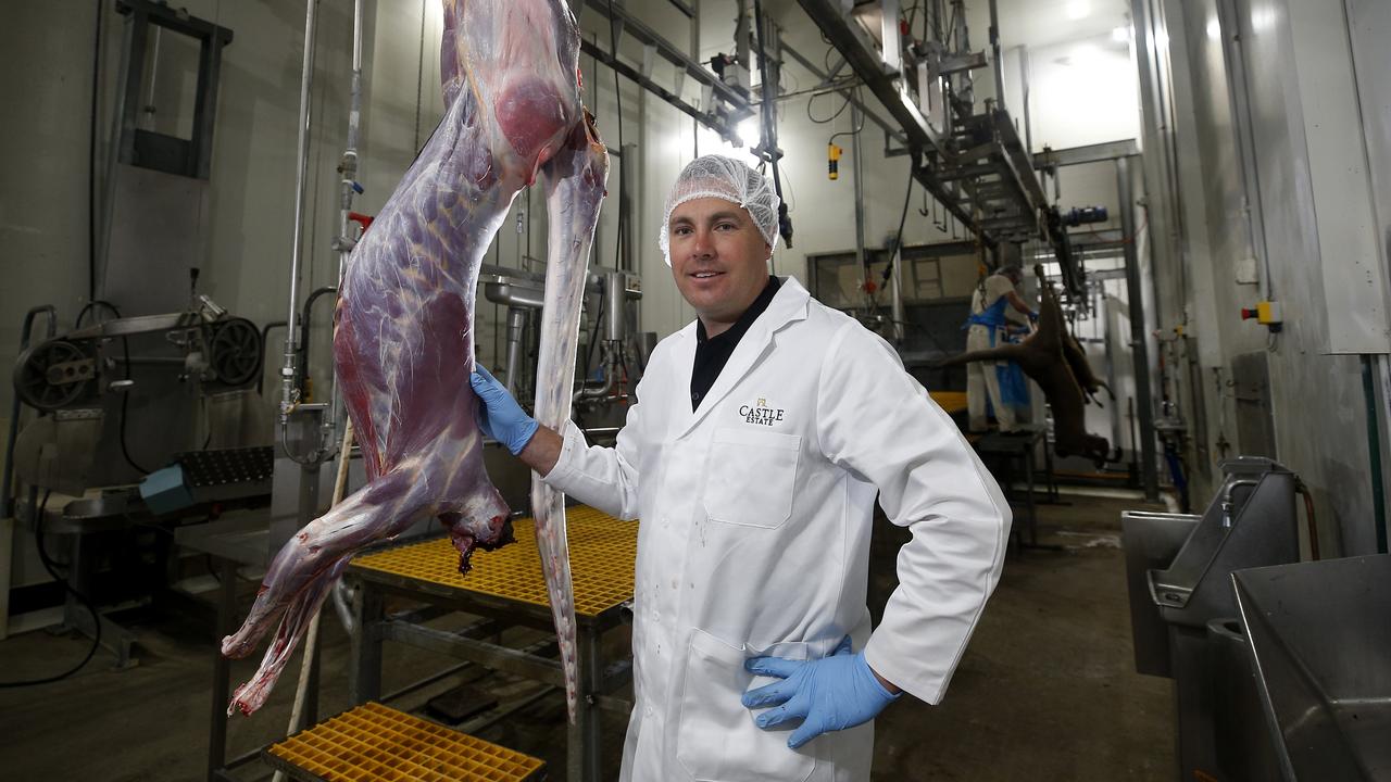 Kangaroo Meat: First Victorian-grown Roo Processed For Human ...