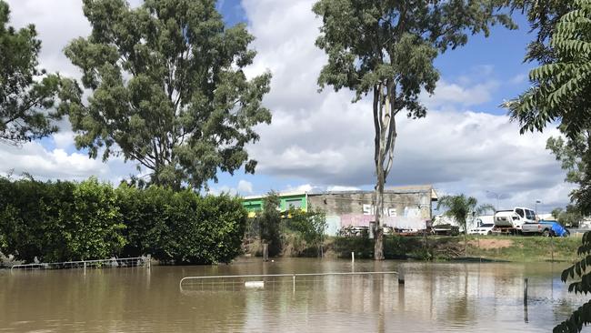 Logan River Tree Farm owner Ailsa Thompson says the site proposed for a train station car park is often flooded and is now anxiously waiting to find out how much of her land will be affected by the project. Picture: Contributed