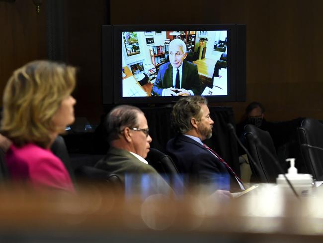 Senators listen as Dr. Anthony Fauci, director of the National Institute of Allergy and Infectious Diseases. Picture: AP