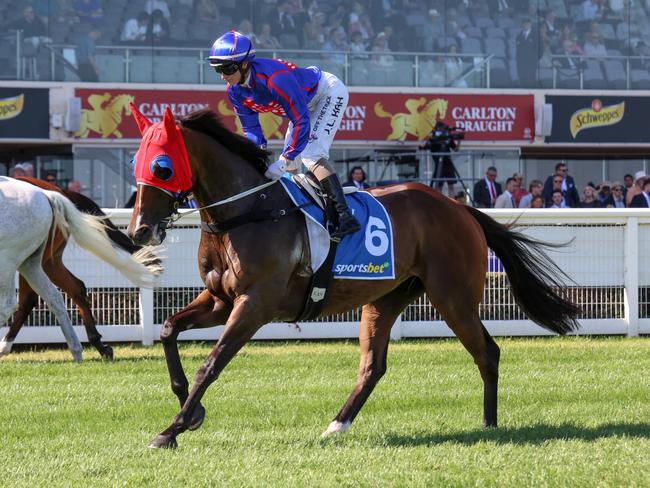 Ayrton (NZ) on the way to the barriers prior to the running of  the Sportsbet C.F. Orr Stakes at Caulfield Racecourse on February 10, 2024 in Caulfield, Australia. (Photo by George Sal/Racing Photos via Getty Images)