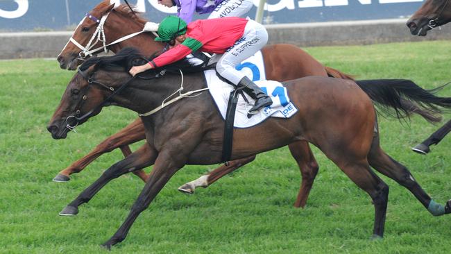 A comprehensive preview of every race for at Rosehill | Daily Telegraph