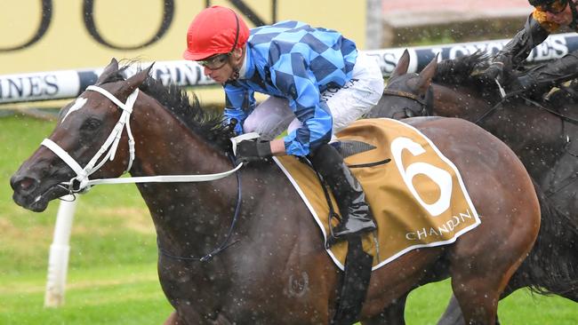 Funstar will start her spring campaign in the Show County Quality at Royal Randwick. Picture: AAP