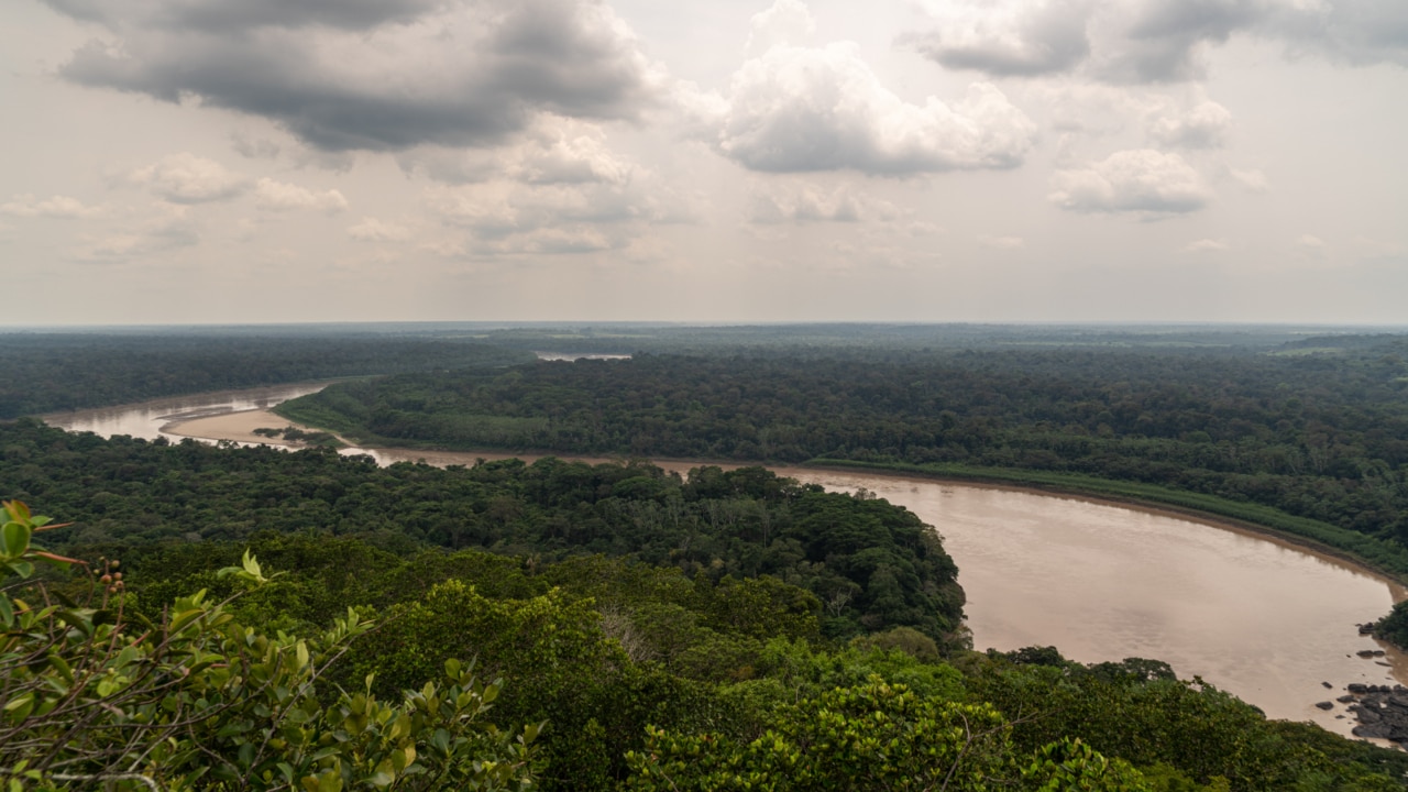 How four children survived 40 days in the  on their own: Lesly's  mission and the secrets of the jungle, International