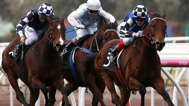 Craig Williams pilots Sixties Groove to victory at Flemington this month.