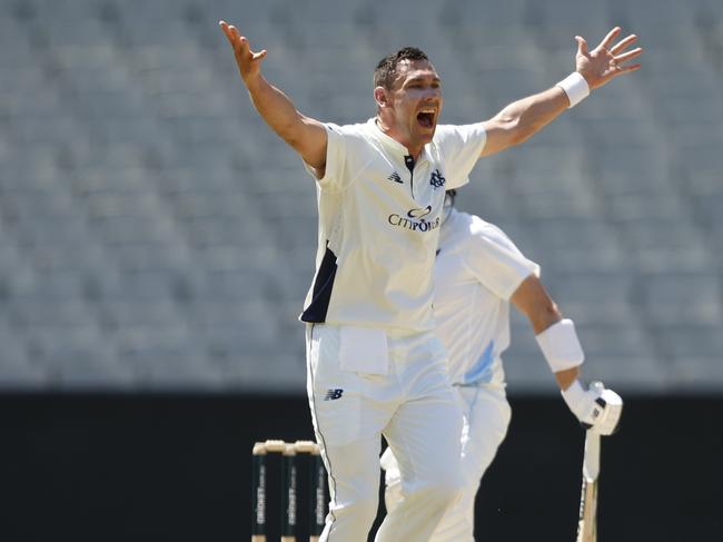 MELBOURNE, AUSTRALIA - OCTOBER 22: Scott Boland of Victoria unsuccessfully appeals to the umpire during the Sheffield Shield match between Victoria and New South Wales at Melbourne Cricket Ground, on October 22, 2024, in Melbourne, Australia. (Photo by Darrian Traynor/Getty Images)