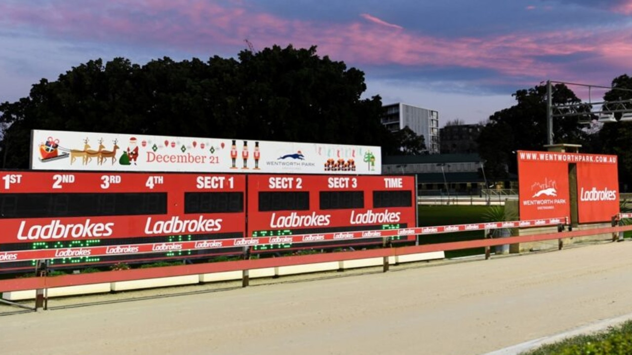 Wentworth Park, the centrepiece of NSW greyhound racing, is at the heart of Ladbrokes’ commitment to NSW greyhound racing