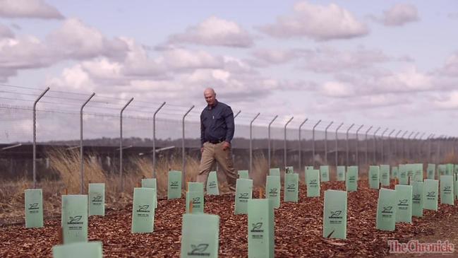 Corridor planted next to solar farms