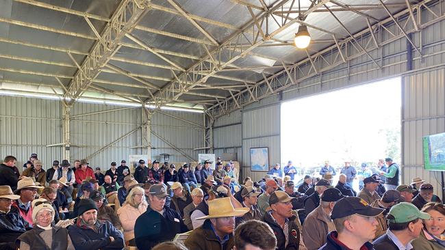 The huge crowd at the Rennylea Angus sale at Culcairn, NSW, where 212 bulls grossed more than $4.7 million.