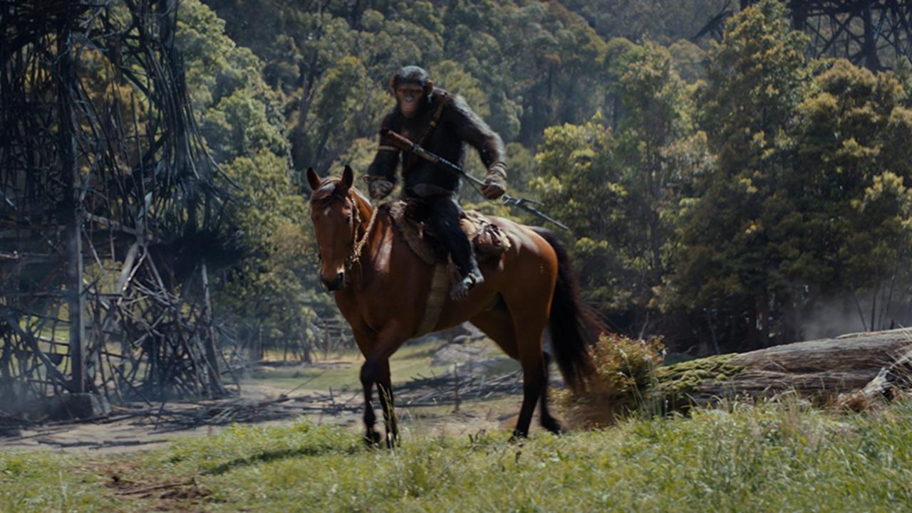 Kingdom of the Planet of the Apes review: A lacklustre sequel | The ...