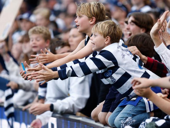 GEELONG, AUSTRALIA - APRIL 14: Cats fans are seen during the 2024 AFL Round 05 match between the Geelong Cats and the North Melbourne Kangaroos at GMHBA Stadium on April 14, 2024 in Geelong, Australia. (Photo by Michael Willson/AFL Photos via Getty Images)