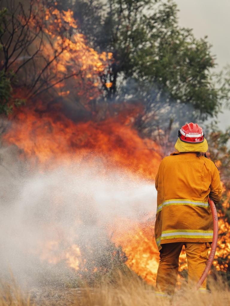 St Marys TFS Volunteer during back burning operations at Fingal. PICTURE CHRIS KIDD