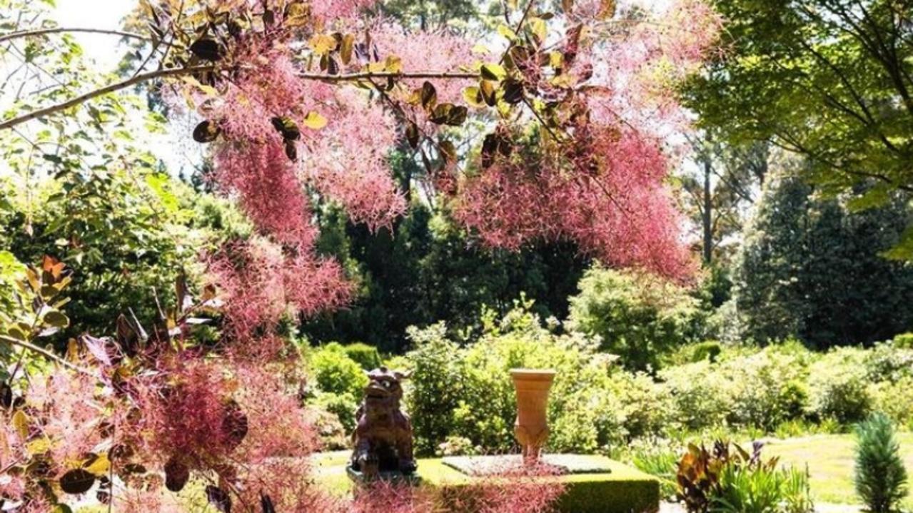 One of the lavish gardens on the estate.