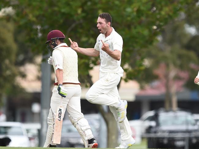 Brody Couch celebrates a wicket for Geelong.