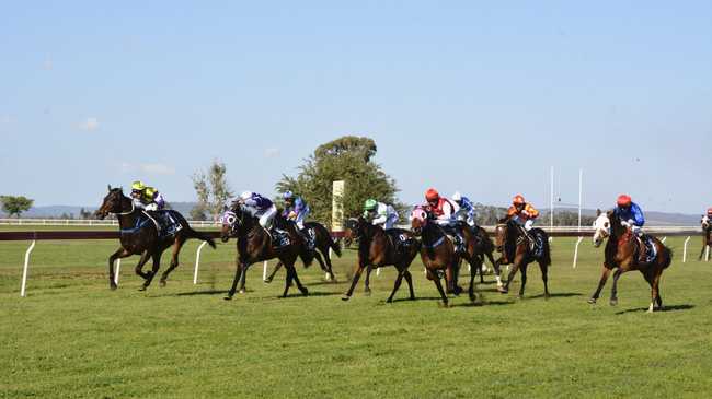 Mendelssohn (red) finishes strongly to down Haradify (inside) and Sultry Testa (blue) in last year's Clifton Cup.